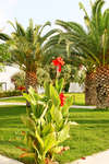 Aliathon Holiday Village 